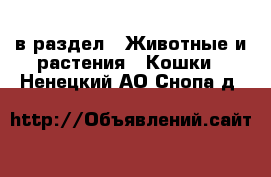  в раздел : Животные и растения » Кошки . Ненецкий АО,Снопа д.